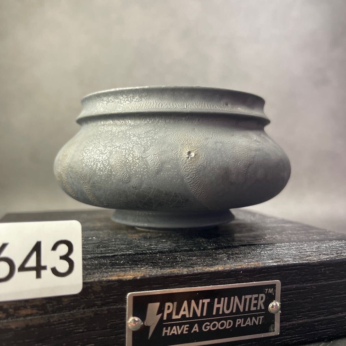 さ643 HAND Made 植木鉢 陶器検(アガベ パキプス 姫巌竜 帝釈天 さ643 HAND Made 植木鉢 陶器検(アガベ パキプス 姫巌竜 帝釈天