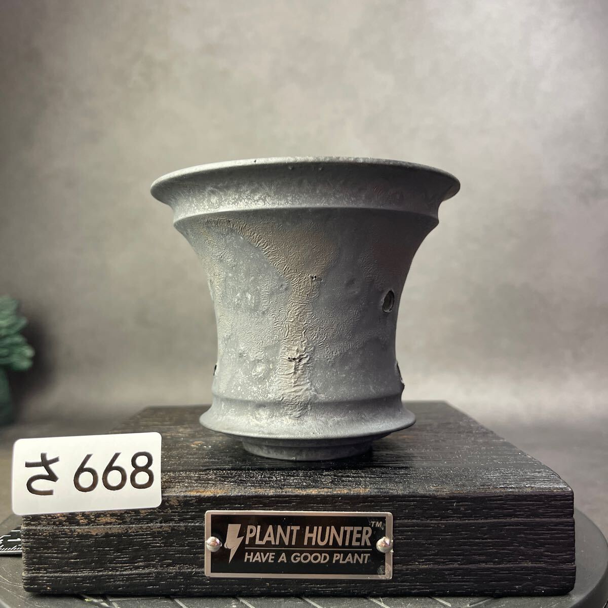 さ668 HAND Made 植木鉢 陶器検(アガベ パキプス 姫巌竜 帝釈天 さ668 HAND Made 植木鉢 陶器検(アガベ パキプス 姫巌竜 帝釈天