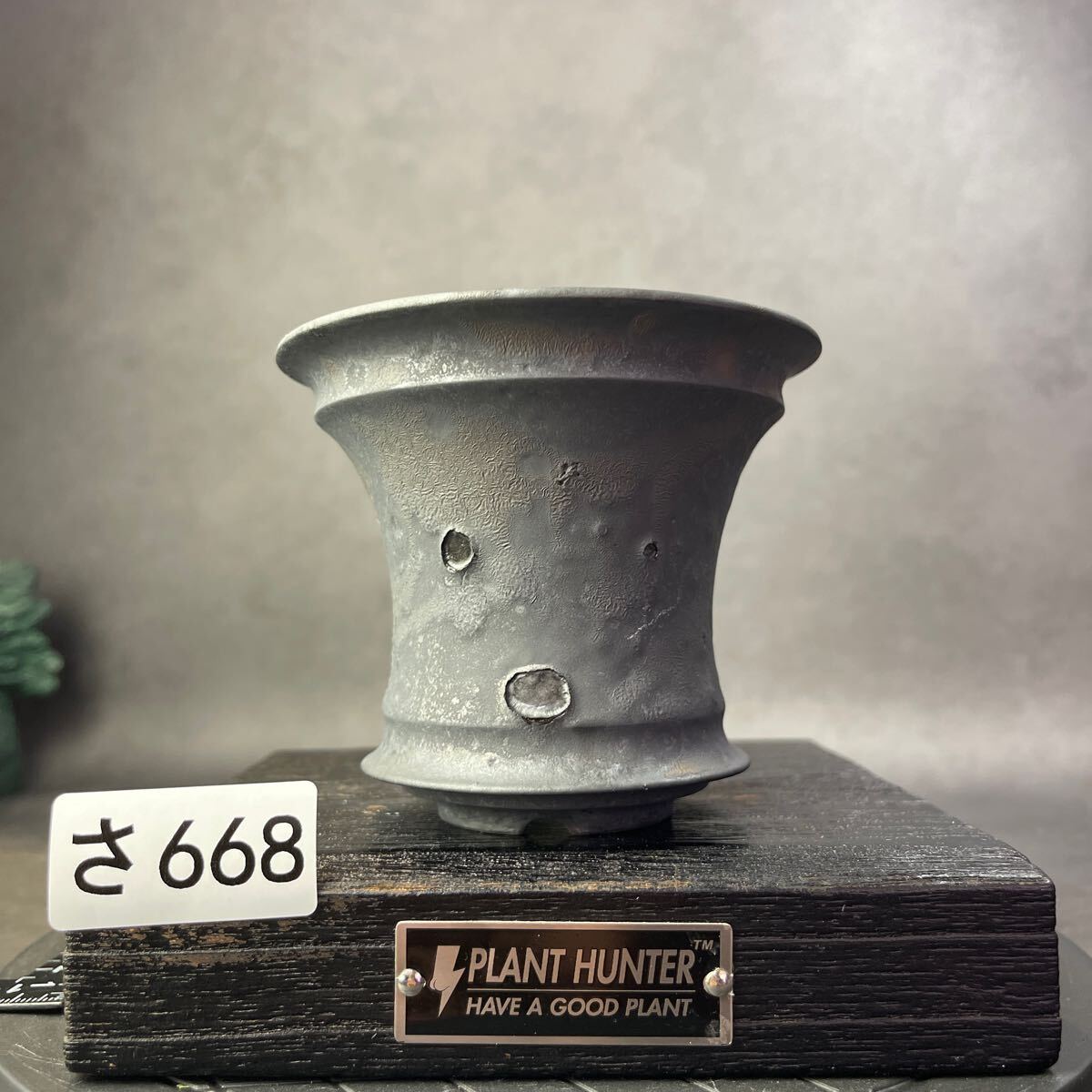 さ668 HAND Made 植木鉢 陶器検(アガベ パキプス 姫巌竜 帝釈天 さ668 HAND Made 植木鉢 陶器検(アガベ パキプス 姫巌竜 帝釈天