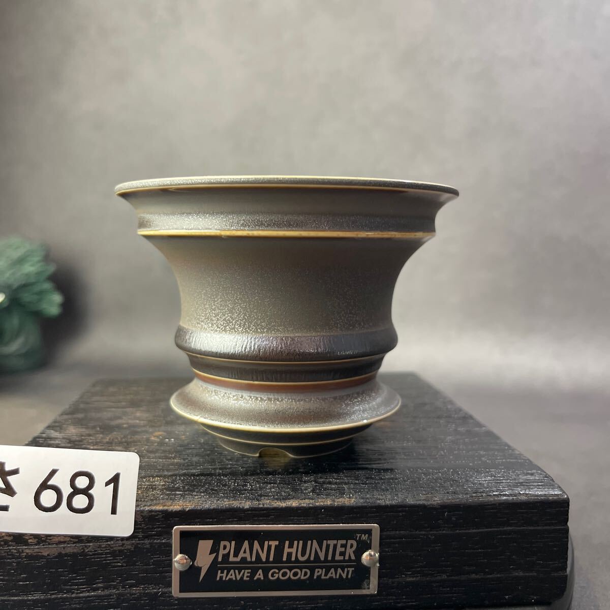 さ681 HAND Made 植木鉢 陶器検(アガベ パキプス 姫巌竜 帝釈天 さ681 HAND Made 植木鉢 陶器検(アガベ パキプス 姫巌竜 帝釈天