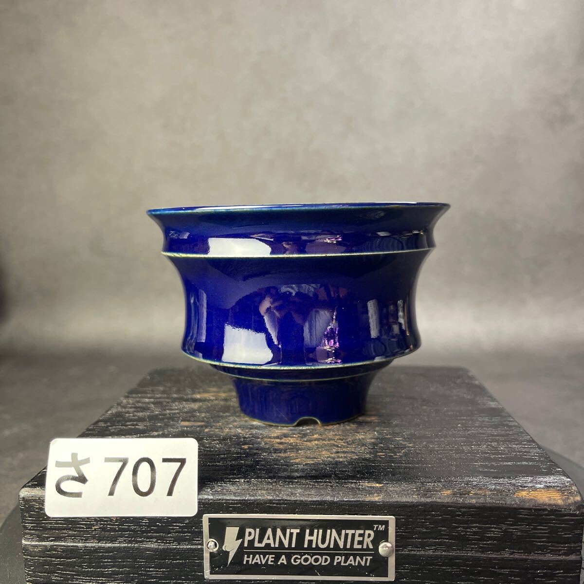 さ706 HAND Made 植木鉢 陶器検(アガベ パキプス 姫巌竜 帝釈天 さ706 HAND Made 植木鉢 陶器検(アガベ パキプス 姫巌竜 帝釈天