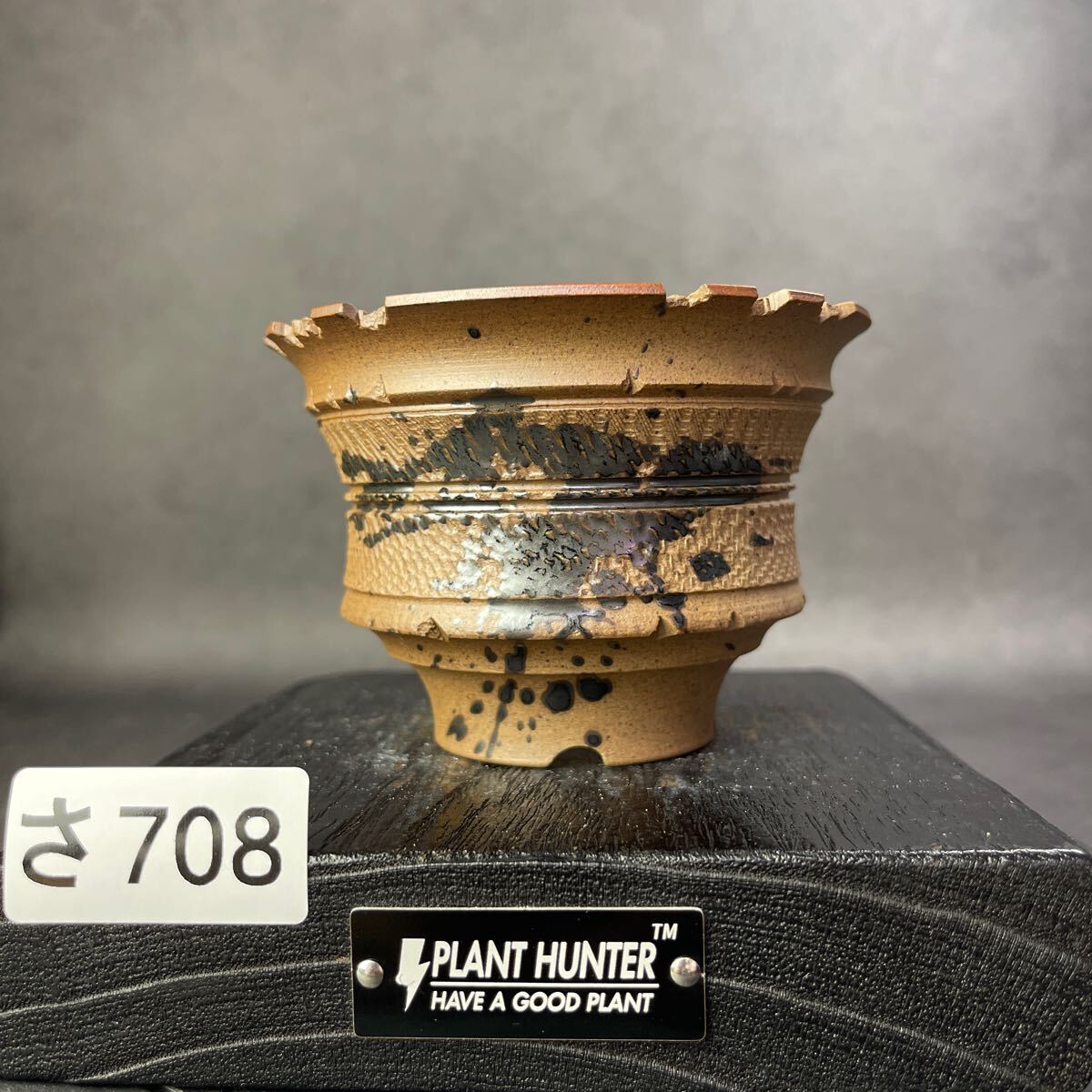 さ708 HAND Made 植木鉢 陶器検(アガベ パキプス 姫巌竜 帝釈天 さ708 HAND Made 植木鉢 陶器検(アガベ パキプス 姫巌竜 帝釈天