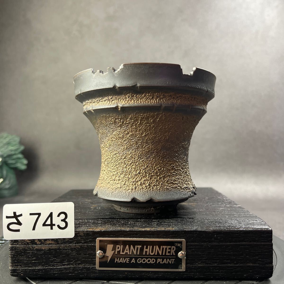 さ743 HAND Made 植木鉢 陶器検(アガベ パキプス 姫巌竜 帝釈天 さ743 HAND Made 植木鉢 陶器検(アガベ パキプス 姫巌竜 帝釈天