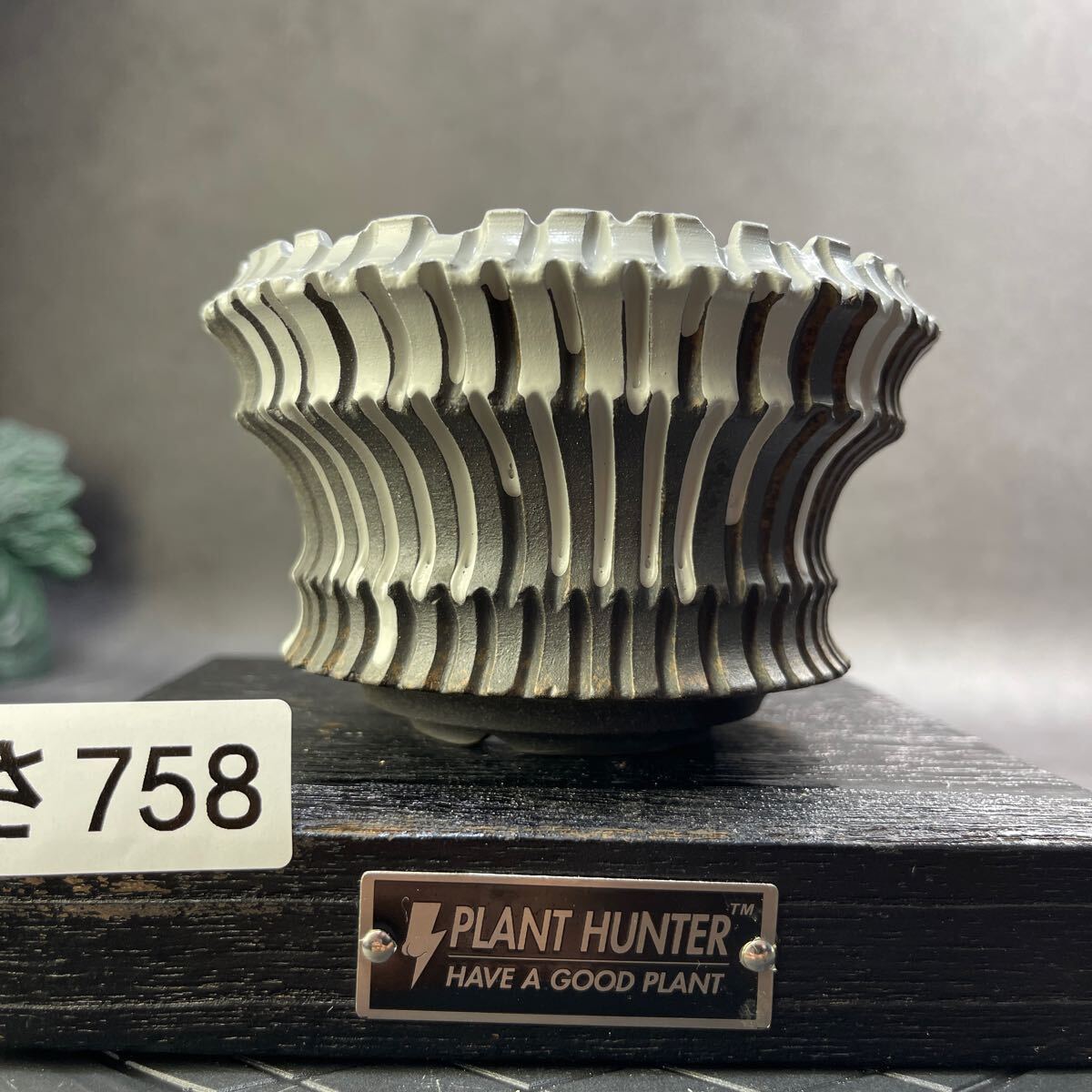 さ758 HAND Made 植木鉢 陶器検(アガベ パキプス 姫巌竜 帝釈天 さ758 HAND Made 植木鉢 陶器検(アガベ パキプス 姫巌竜 帝釈天
