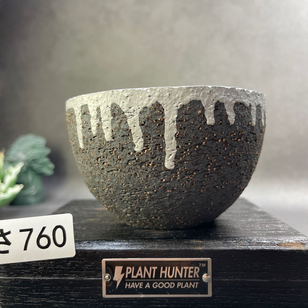さ760 HAND Made 植木鉢 陶器検(アガベ パキプス 姫巌竜 帝釈天 さ760 HAND Made 植木鉢 陶器検(アガベ パキプス 姫巌竜 帝釈天