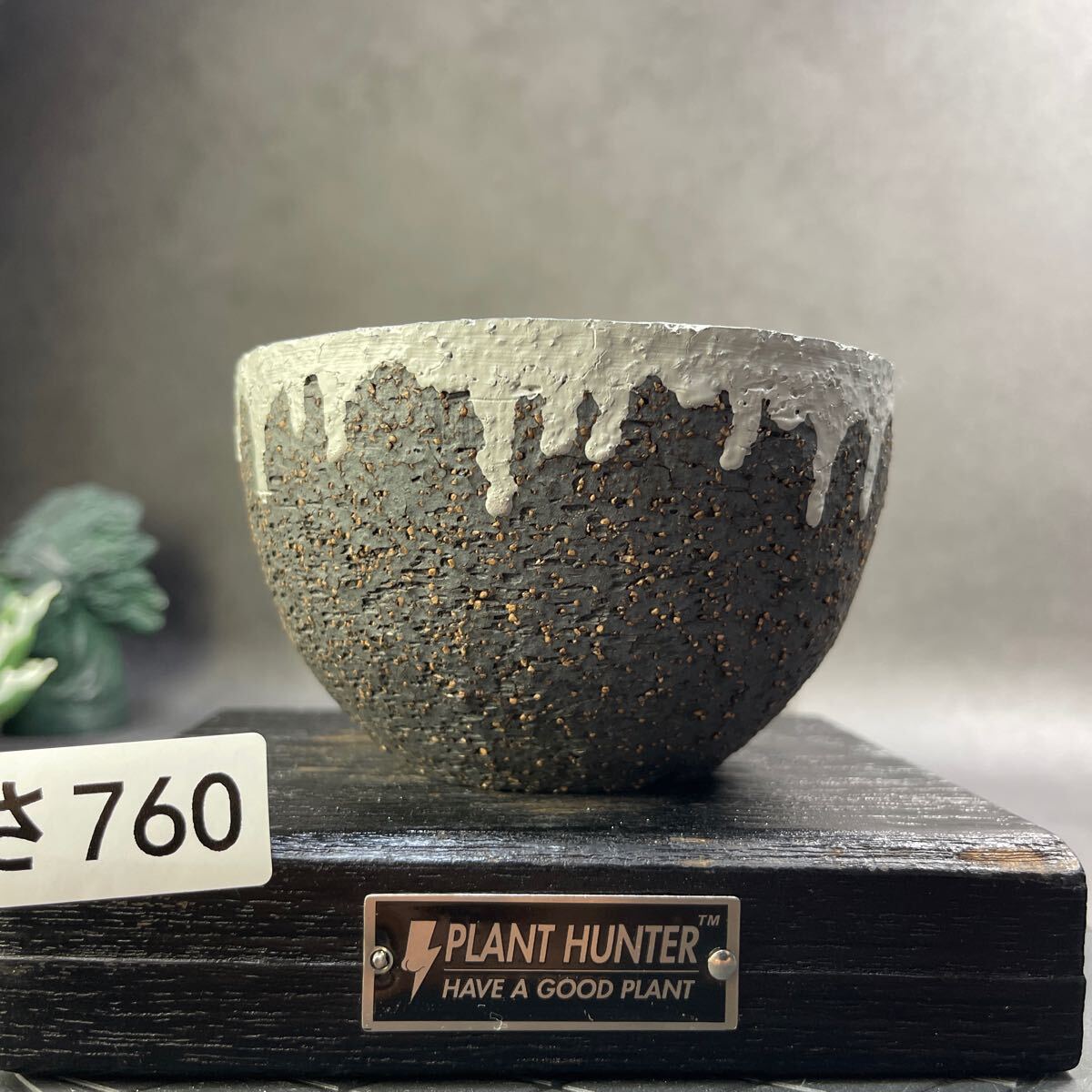さ760 HAND Made 植木鉢 陶器検（アガベ パキプス 姫巌竜 帝釈天