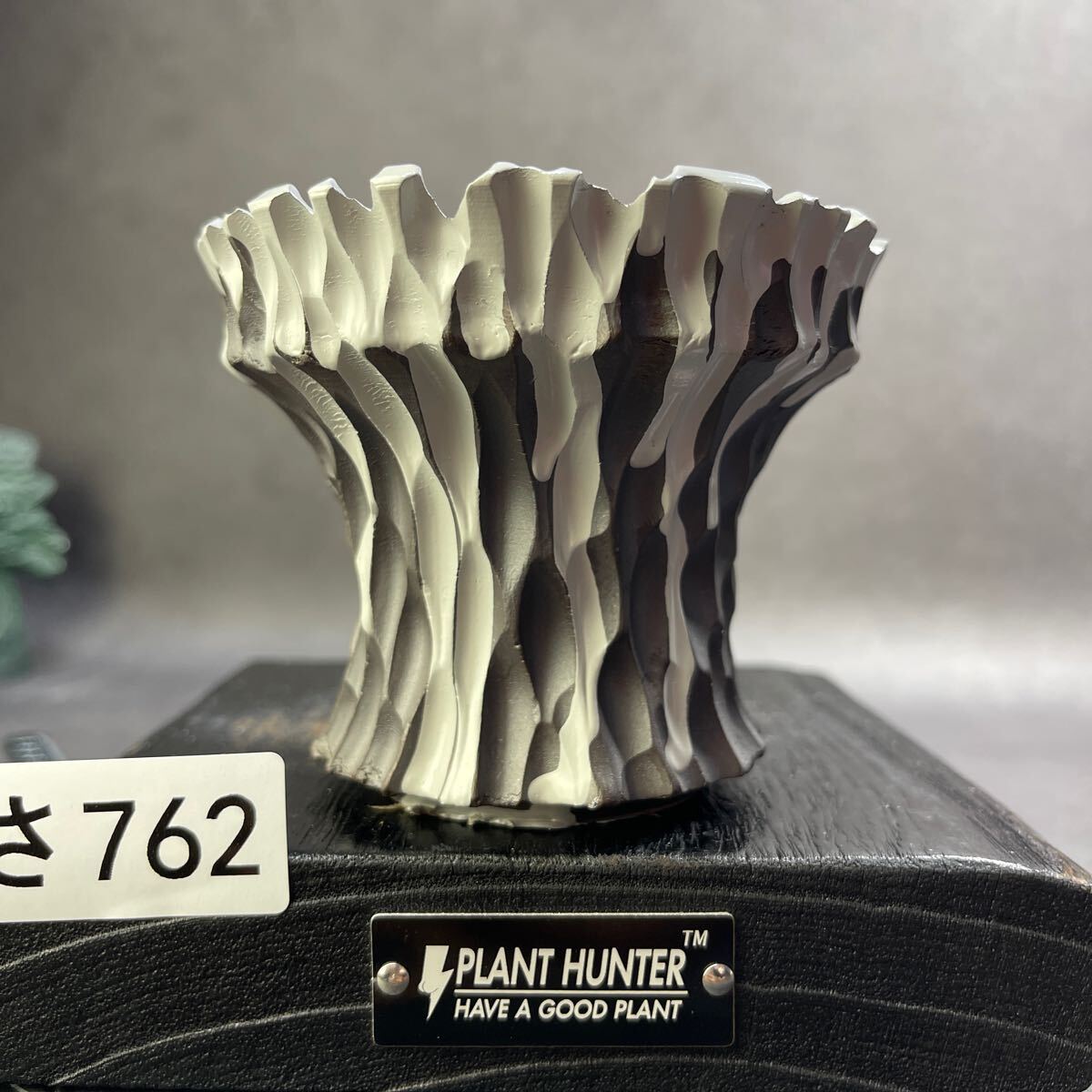 さ762 HAND Made 植木鉢 陶器検(アガベ パキプス 姫巌竜 帝釈天 さ762 HAND Made 植木鉢 陶器検(アガベ パキプス 姫巌竜 帝釈天