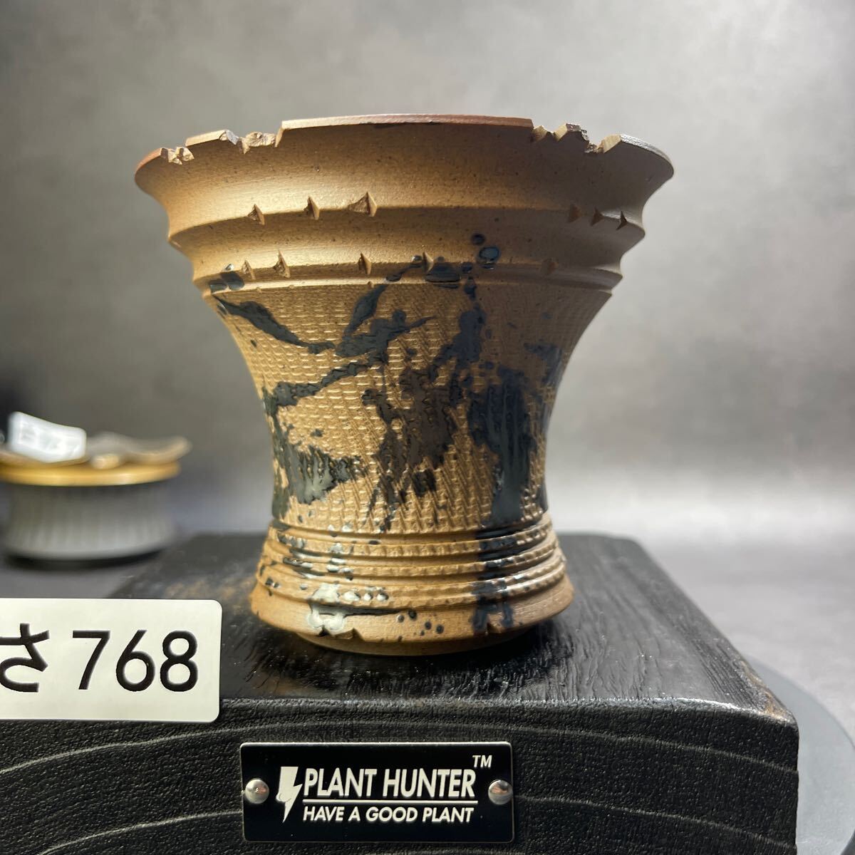さ768 HAND Made 植木鉢 陶器検(アガベ パキプス 姫巌竜 帝釈天 さ768 HAND Made 植木鉢 陶器検(アガベ パキプス 姫巌竜 帝釈天