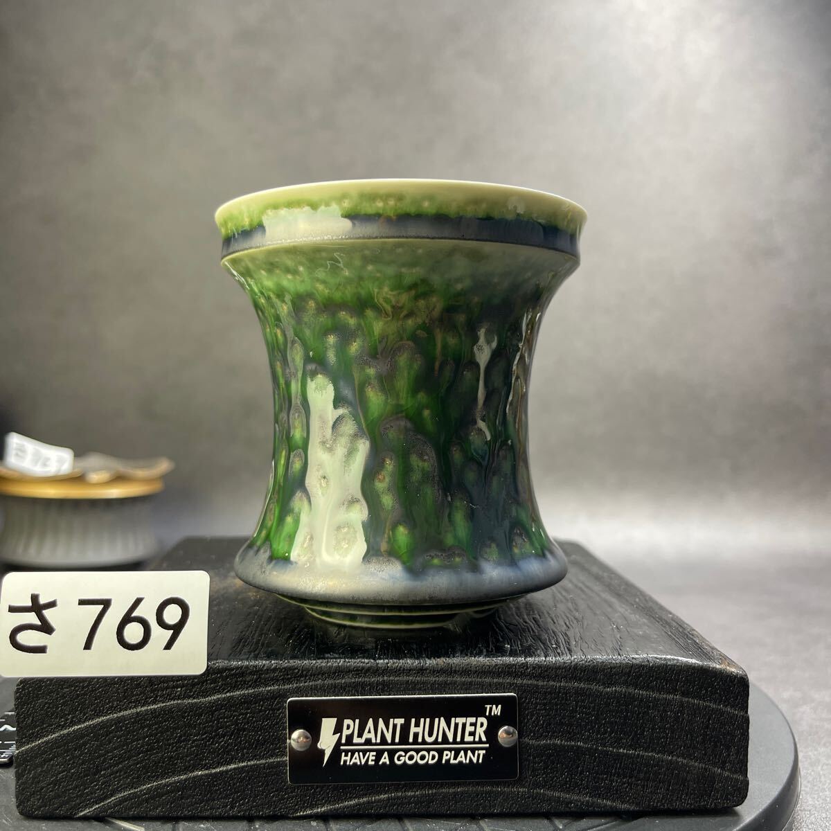 さ769 HAND Made 植木鉢 陶器検（アガベ パキプス 姫巌竜 帝釈天