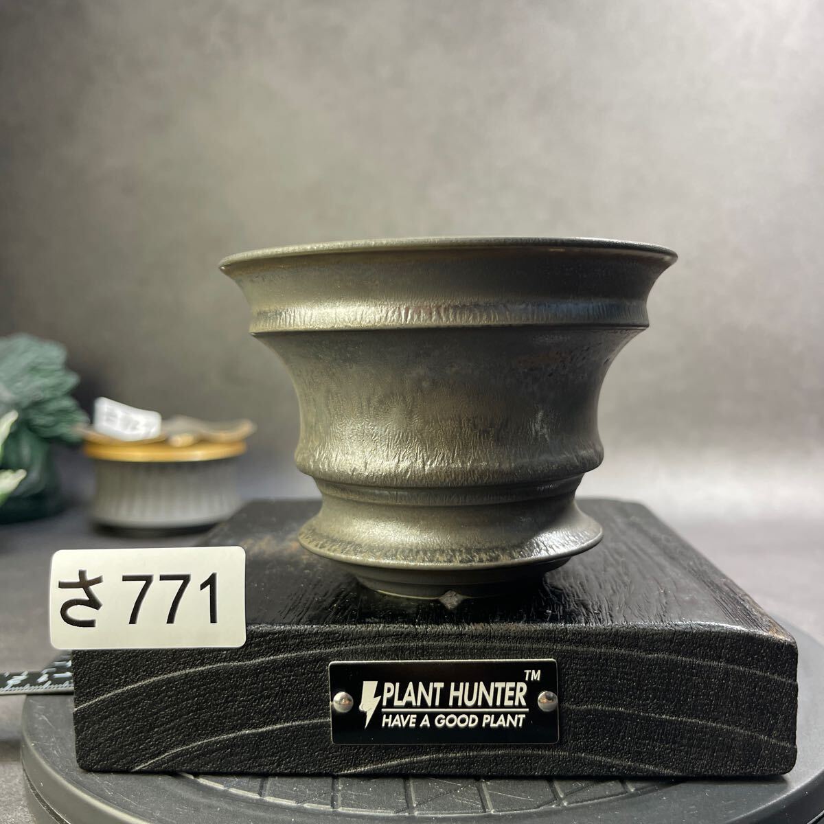 さ771 HAND Made 植木鉢 陶器検(アガベ パキプス 姫巌竜 帝釈天 さ771 HAND Made 植木鉢 陶器検(アガベ パキプス 姫巌竜 帝釈天
