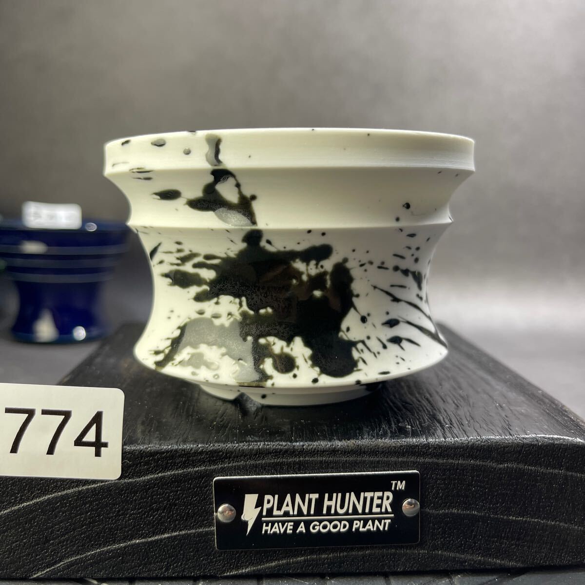 さ774 HAND Made 植木鉢 陶器検(アガベ パキプス 姫巌竜 帝釈天 さ774 HAND Made 植木鉢 陶器検(アガベ パキプス 姫巌竜 帝釈天