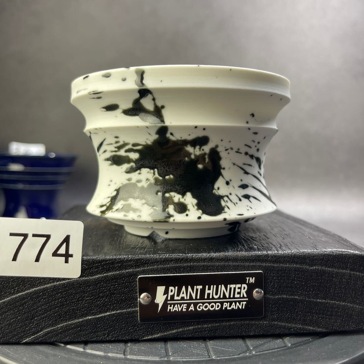 さ774 HAND Made 植木鉢 陶器検(アガベ パキプス 姫巌竜 帝釈天 さ774 HAND Made 植木鉢 陶器検(アガベ パキプス 姫巌竜 帝釈天