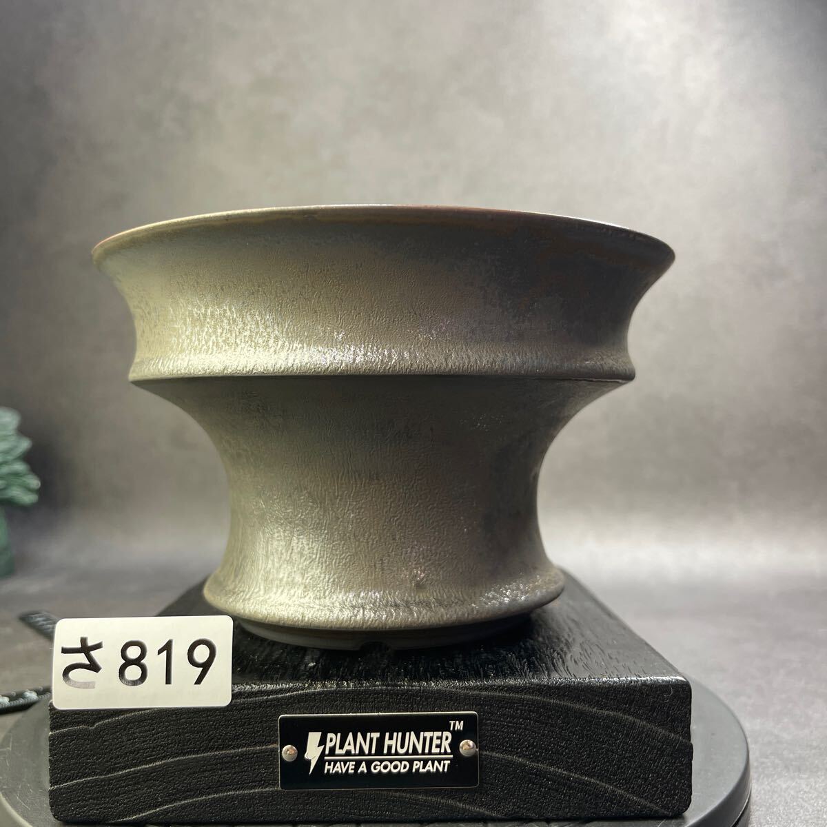さ819 HAND Made XL 植木鉢 陶器検(アガベ パキプス 姫巌竜 さ819 HAND Made XL 植木鉢 陶器検(アガベ パキプス 姫巌竜