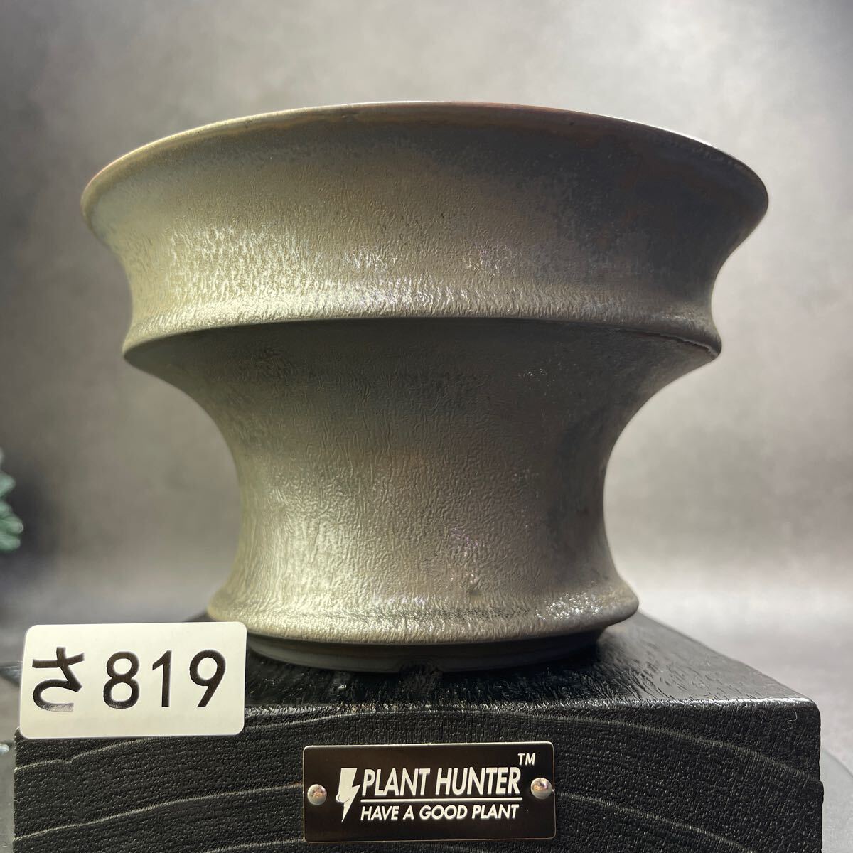 さ819 HAND Made XL 植木鉢 陶器検(アガベ パキプス 姫巌竜 さ819 HAND Made XL 植木鉢 陶器検(アガベ パキプス 姫巌竜