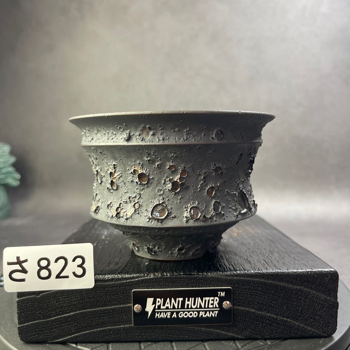 さ823 HAND Made 植木鉢 陶器検(アガベ パキプス 姫巌竜 帝釈天 さ823 HAND Made 植木鉢 陶器検(アガベ パキプス 姫巌竜 帝釈天