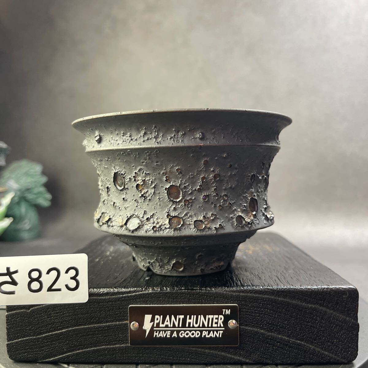 さ823 HAND Made 植木鉢 陶器検(アガベ パキプス 姫巌竜 帝釈天 さ823 HAND Made 植木鉢 陶器検(アガベ パキプス 姫巌竜 帝釈天