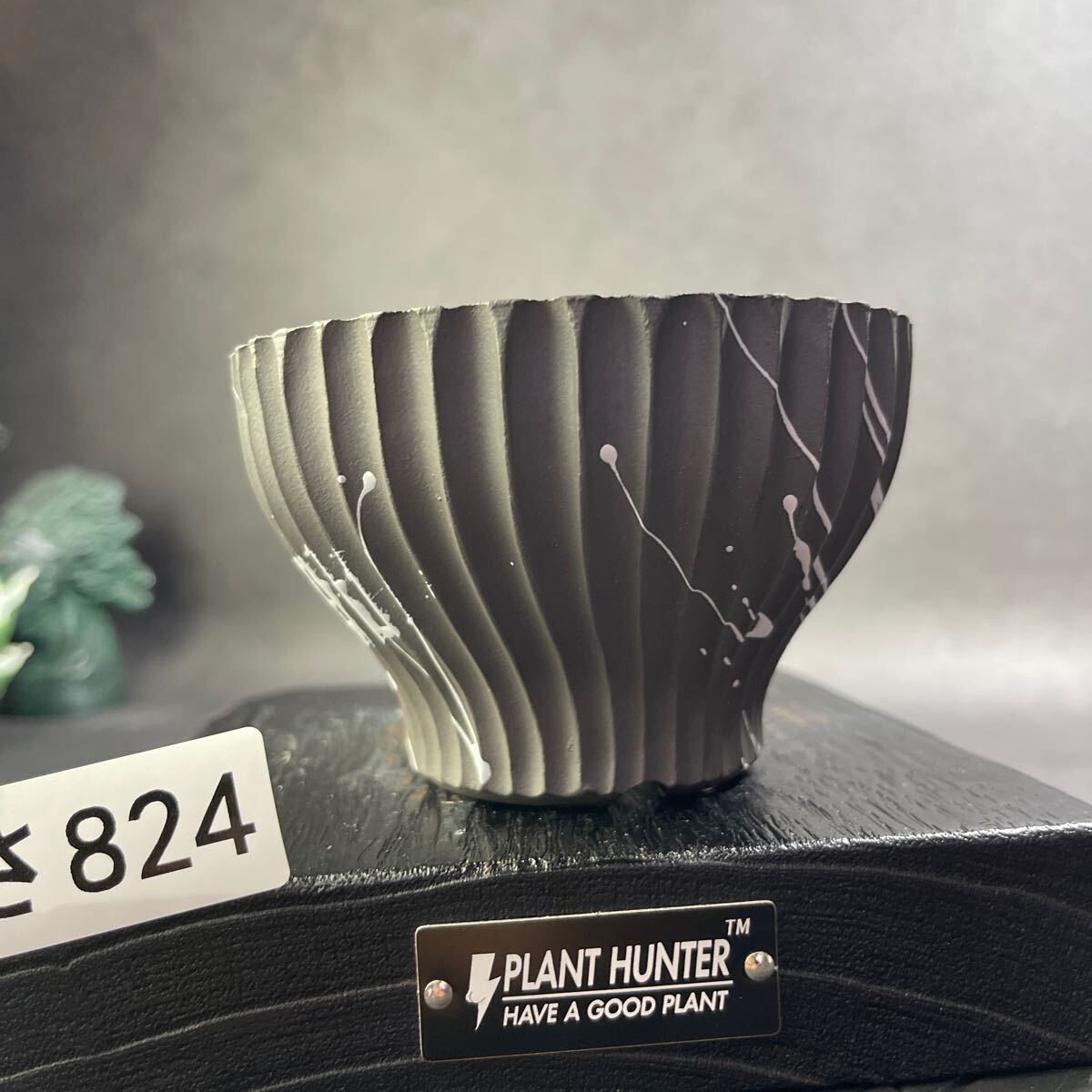さ824 HAND Made 植木鉢 陶器検(アガベ パキプス 姫巌竜 帝釈天 さ824 HAND Made 植木鉢 陶器検(アガベ パキプス 姫巌竜 帝釈天
