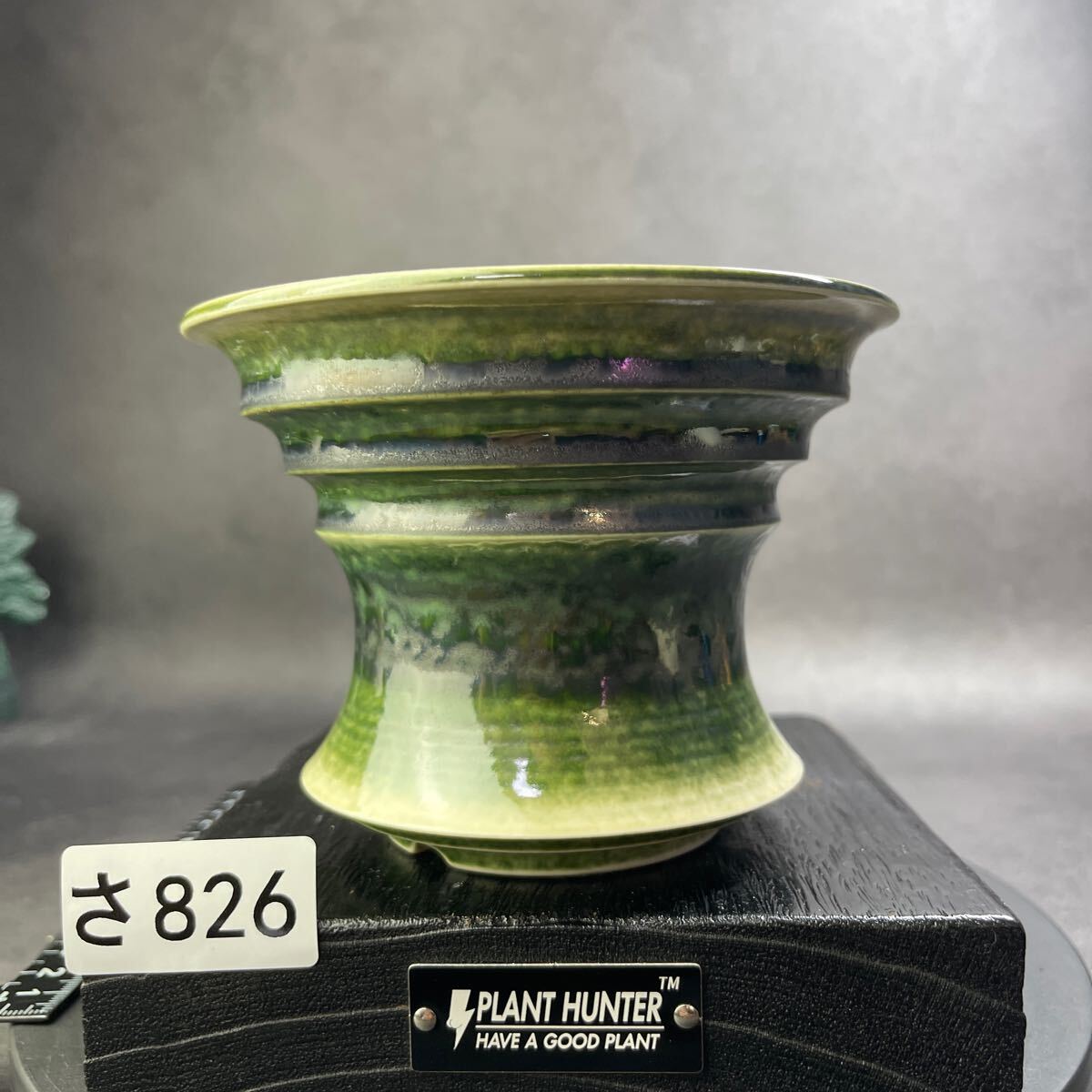 さ826 HAND Made 5号 植木鉢 陶器検(アガベ パキプス 姫巌竜 さ826 HAND Made 5号 植木鉢 陶器検(アガベ パキプス 姫巌竜