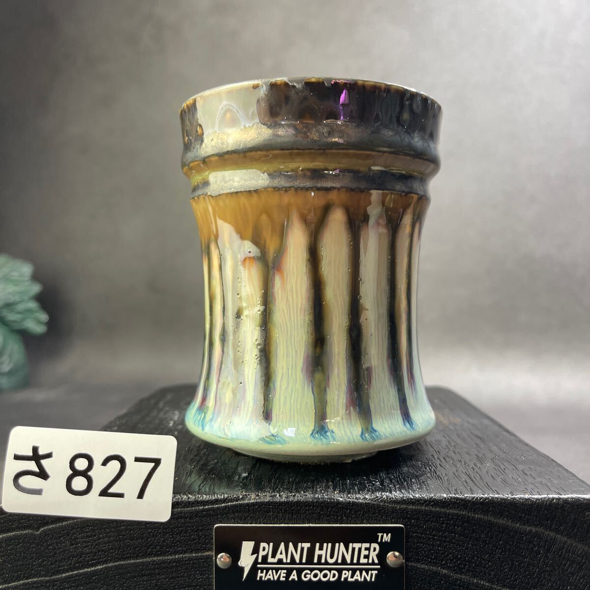さ827 HAND Made 植木鉢 陶器検(アガベ パキプス 姫巌竜 帝釈天 さ827 HAND Made 植木鉢 陶器検(アガベ パキプス 姫巌竜 帝釈天