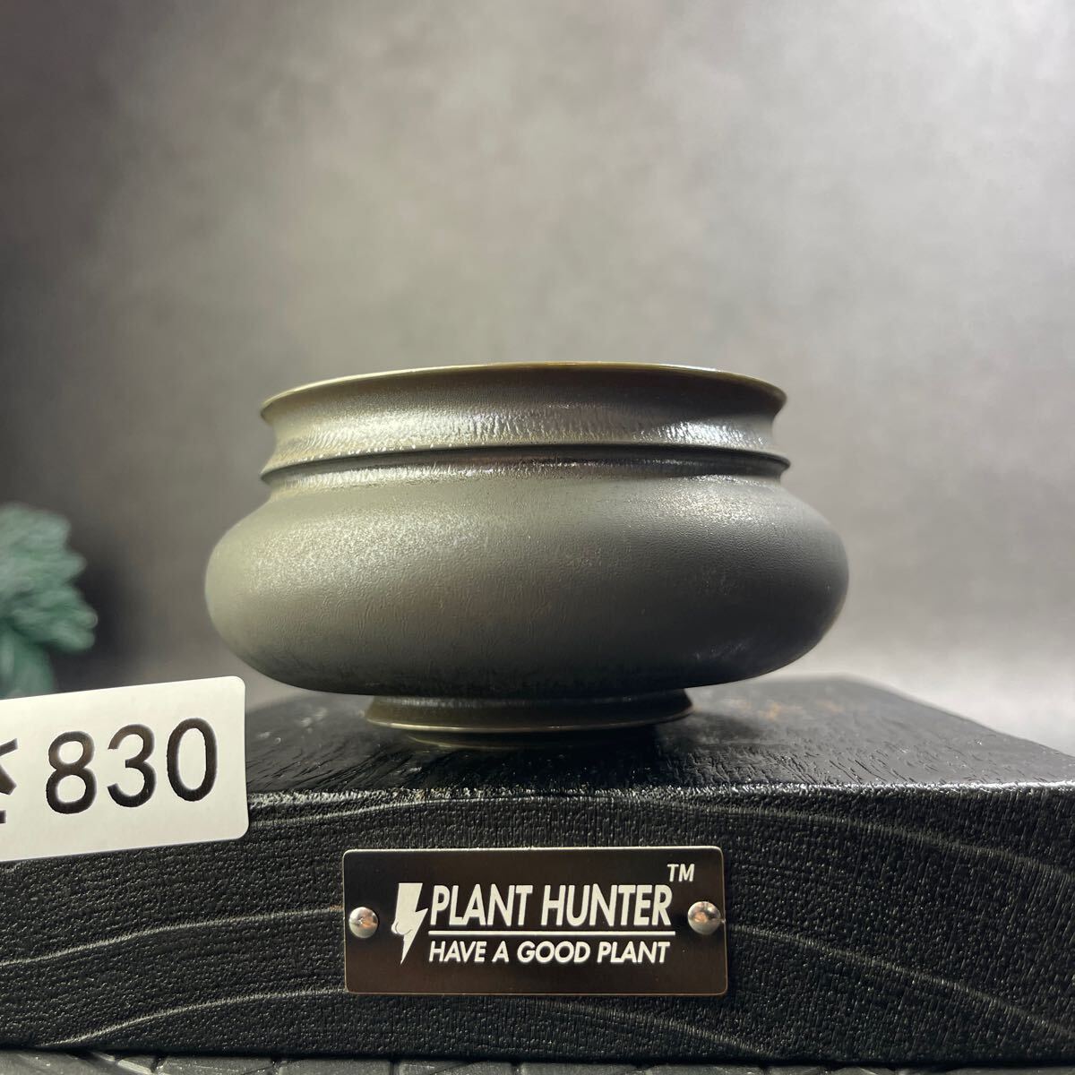 さ830 HAND Made 植木鉢 陶器検(アガベ パキプス 姫巌竜 帝釈天 さ830 HAND Made 植木鉢 陶器検(アガベ パキプス 姫巌竜 帝釈天