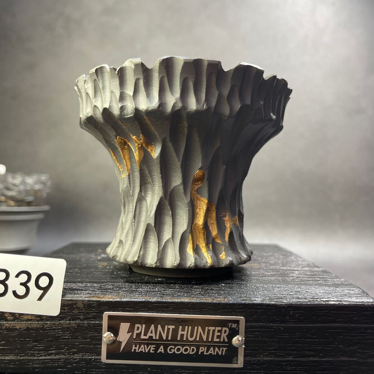 さ839 HAND Made 植木鉢 陶器検(アガベ パキプス 姫巌竜 帝釈天 さ839 HAND Made 植木鉢 陶器検(アガベ パキプス 姫巌竜 帝釈天