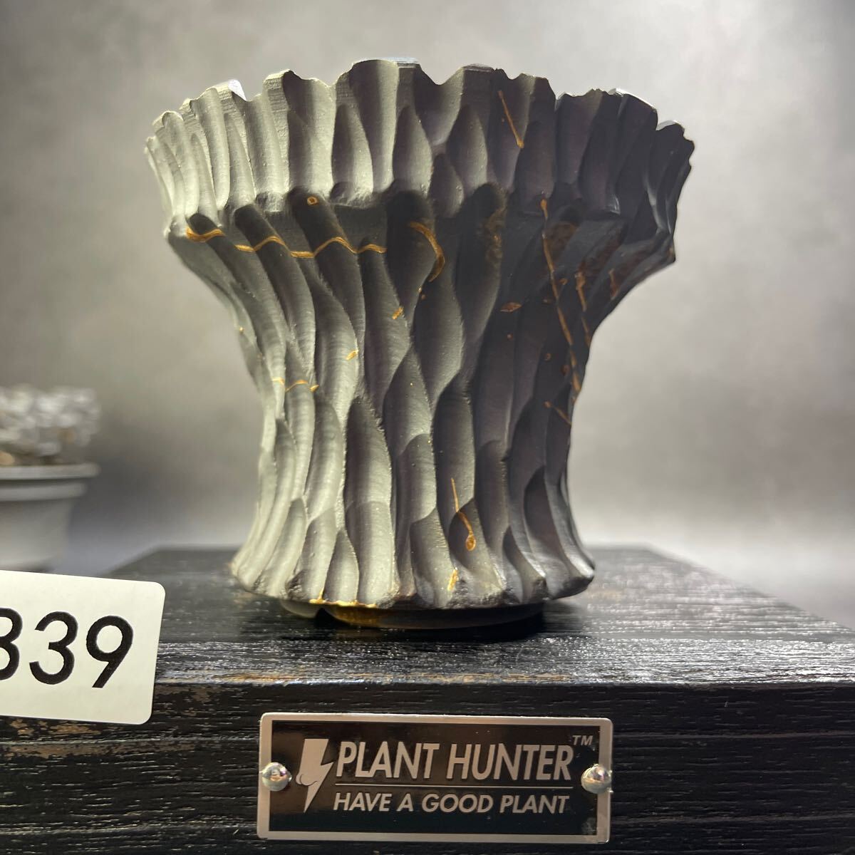 さ839 HAND Made 植木鉢 陶器検(アガベ パキプス 姫巌竜 帝釈天 さ839 HAND Made 植木鉢 陶器検(アガベ パキプス 姫巌竜 帝釈天