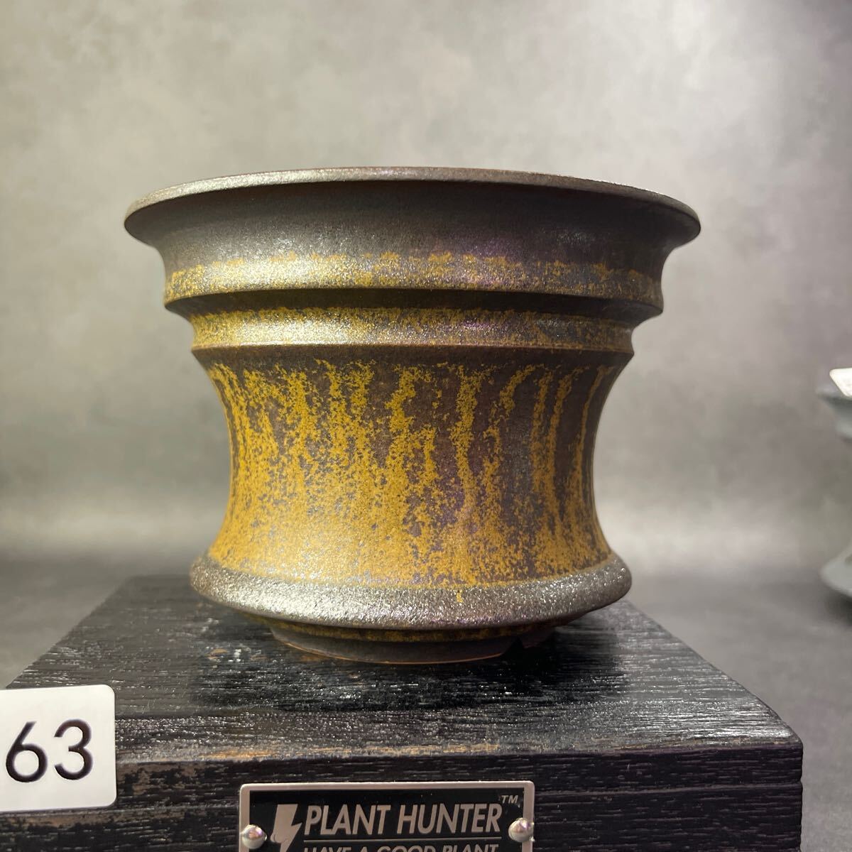 さ863 HAND Made 4号 植木鉢 陶器検(アガベ パキプス 姫巌竜 さ863 HAND Made 4号 植木鉢 陶器検(アガベ パキプス 姫巌竜
