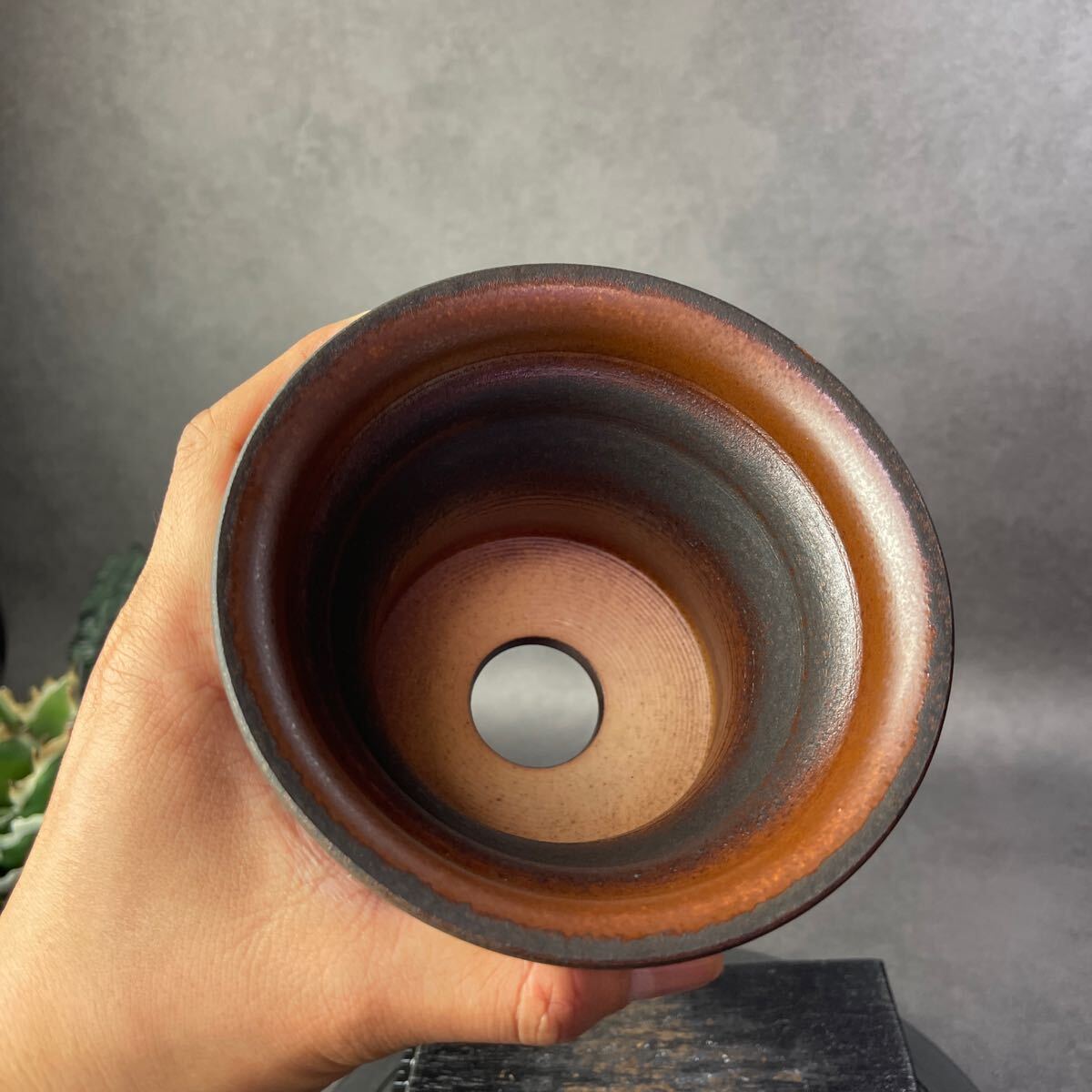 さ863 HAND Made 4号 植木鉢 陶器検(アガベ パキプス 姫巌竜 さ863 HAND Made 4号 植木鉢 陶器検(アガベ パキプス 姫巌竜