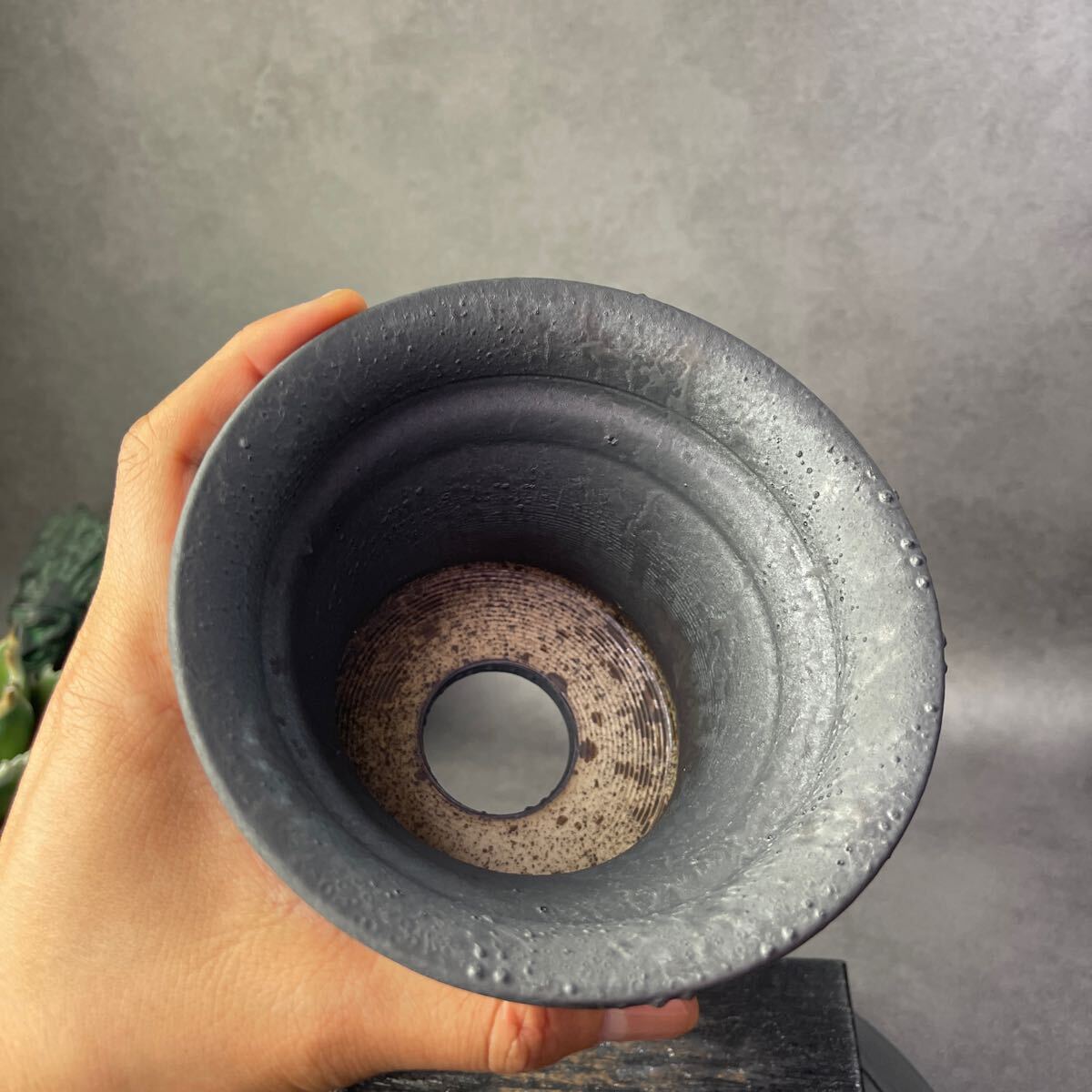さ865 HAND Made 5号 植木鉢 陶器検(アガベ パキプス 姫巌竜 さ865 HAND Made 5号 植木鉢 陶器検(アガベ パキプス 姫巌竜