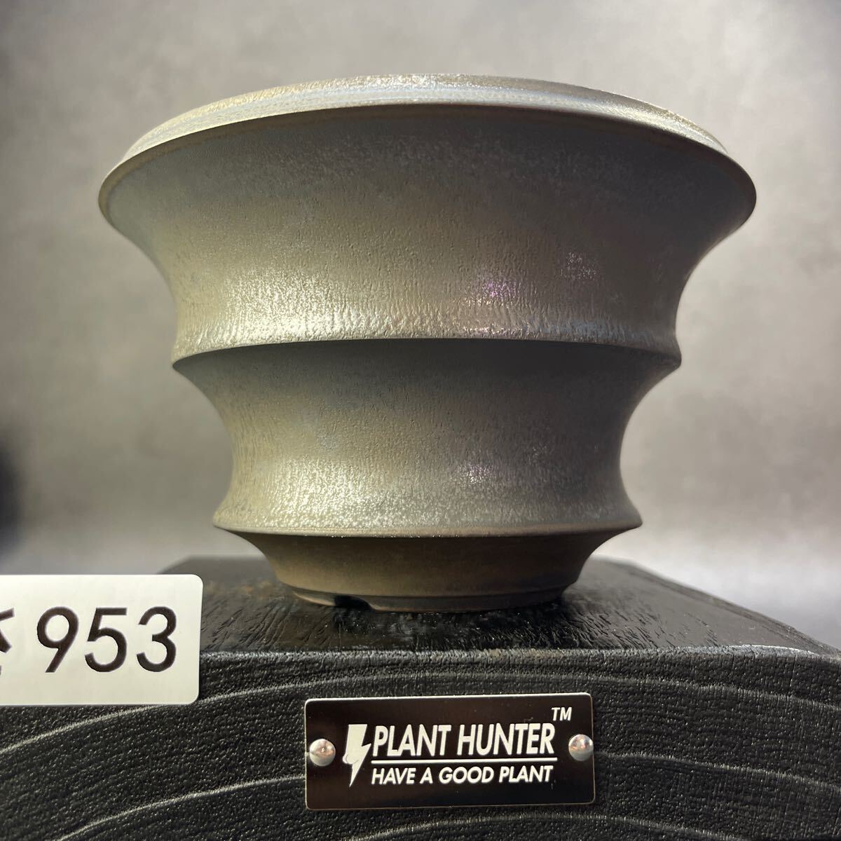 さ953 HAND Made 4号 植木鉢 陶器検(アガベ パキプス 姫巌竜 さ953 HAND Made 4号 植木鉢 陶器検(アガベ パキプス 姫巌竜