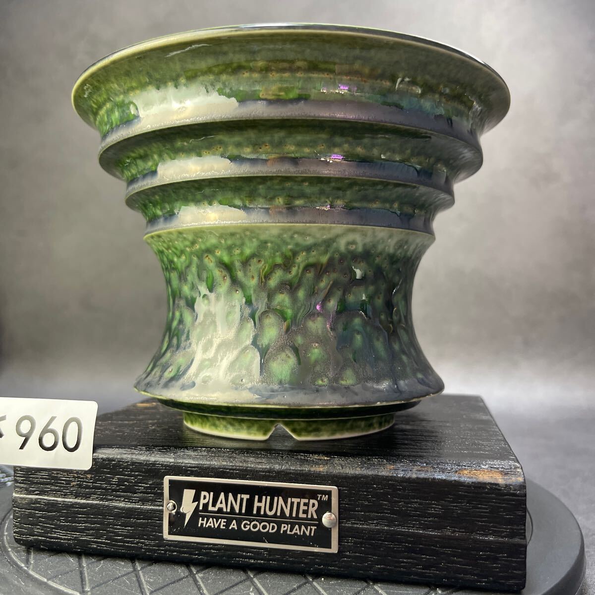さ960 HAND Made 6号 植木鉢 陶器検(アガベ パキプス 姫巌竜 さ960 HAND Made 6号 植木鉢 陶器検(アガベ パキプス 姫巌竜