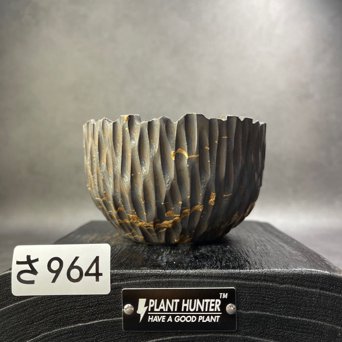さ964 HAND Made 植木鉢 陶器検(アガベ パキプス 姫巌竜 帝釈天 さ964 HAND Made 植木鉢 陶器検(アガベ パキプス 姫巌竜 帝釈天