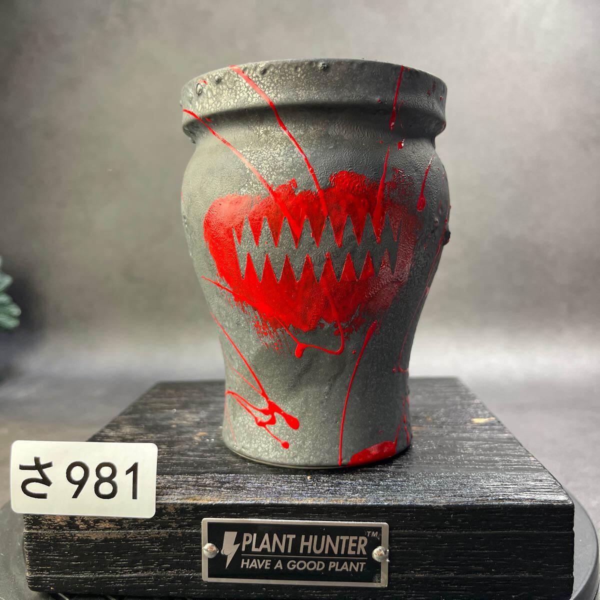 さ981 HAND Made 植木鉢 陶器検(アガベ パキプス 姫巌竜 帝釈天 さ981 HAND Made 植木鉢 陶器検(アガベ パキプス 姫巌竜 帝釈天