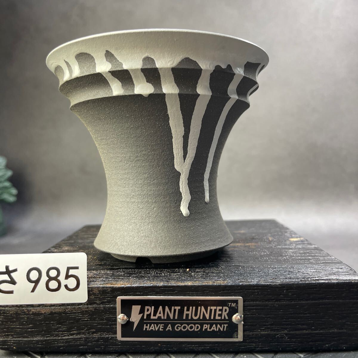 さ985 HAND Made 植木鉢 陶器検(アガベ パキプス 姫巌竜 帝釈天 さ985 HAND Made 植木鉢 陶器検(アガベ パキプス 姫巌竜 帝釈天