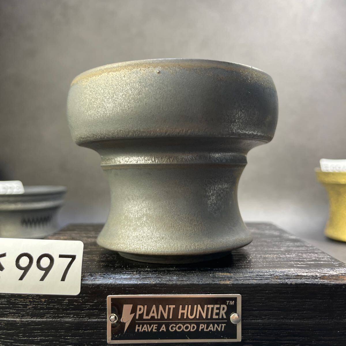 さ997 HAND Made 植木鉢 陶器検(アガベ パキプス 姫巌竜 帝釈天 さ997 HAND Made 植木鉢 陶器検(アガベ パキプス 姫巌竜 帝釈天