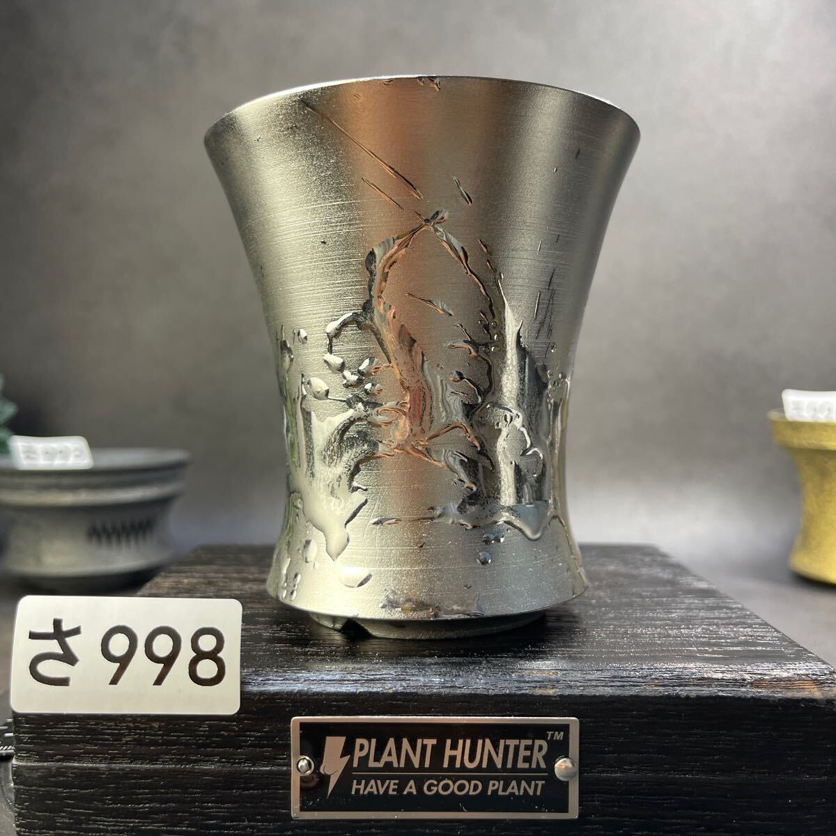 さ998 HAND Made 植木鉢 陶器検(アガベ パキプス 姫巌竜 帝釈天 さ998 HAND Made 植木鉢 陶器検(アガベ パキプス 姫巌竜 帝釈天