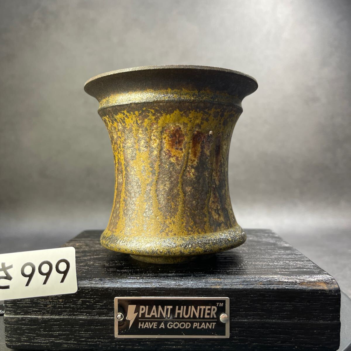 さ999 HAND Made 植木鉢 陶器検(アガベ パキプス 姫巌竜 帝釈天 さ999 HAND Made 植木鉢 陶器検(アガベ パキプス 姫巌竜 帝釈天