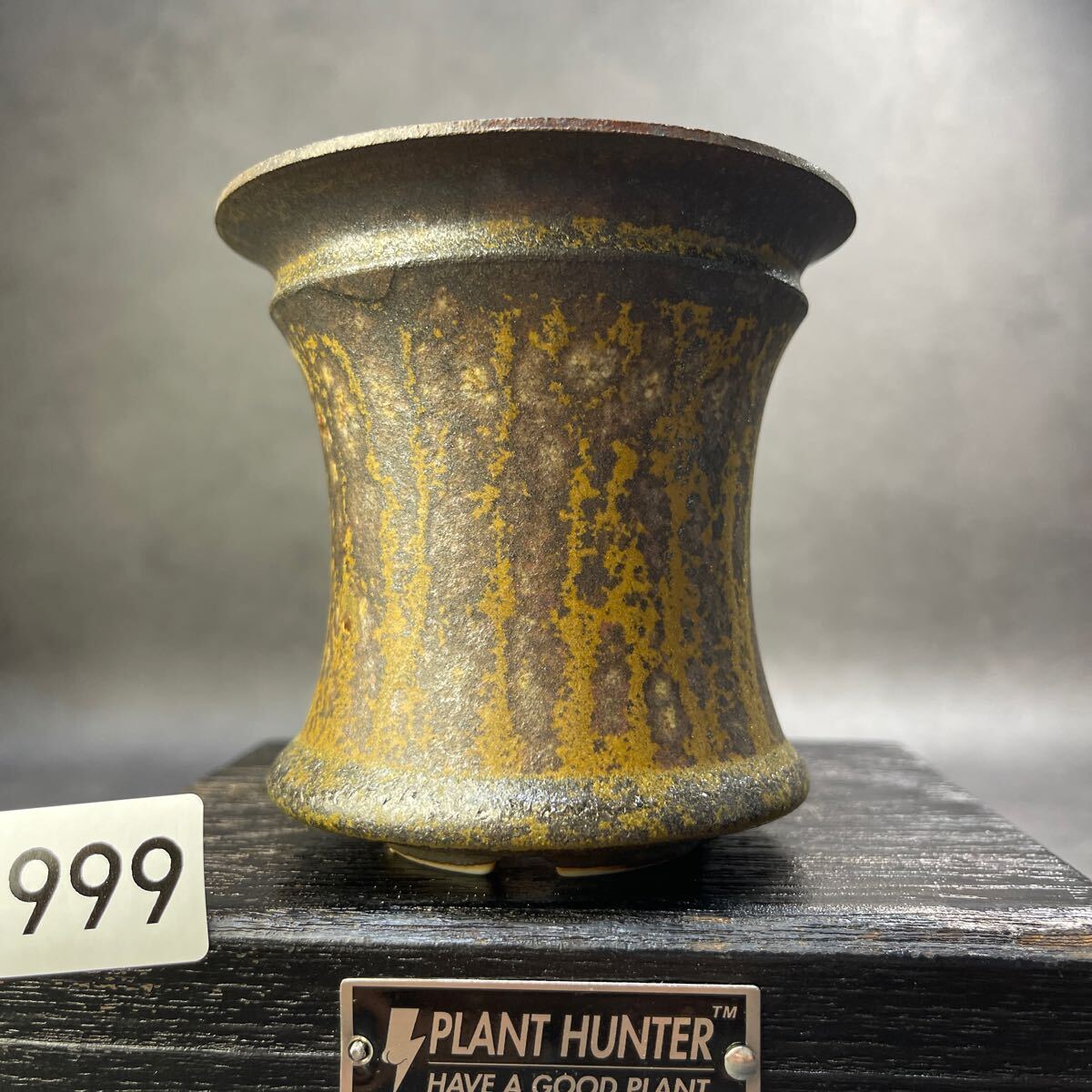 さ999 HAND Made 植木鉢 陶器検(アガベ パキプス 姫巌竜 帝釈天 さ999 HAND Made 植木鉢 陶器検(アガベ パキプス 姫巌竜 帝釈天