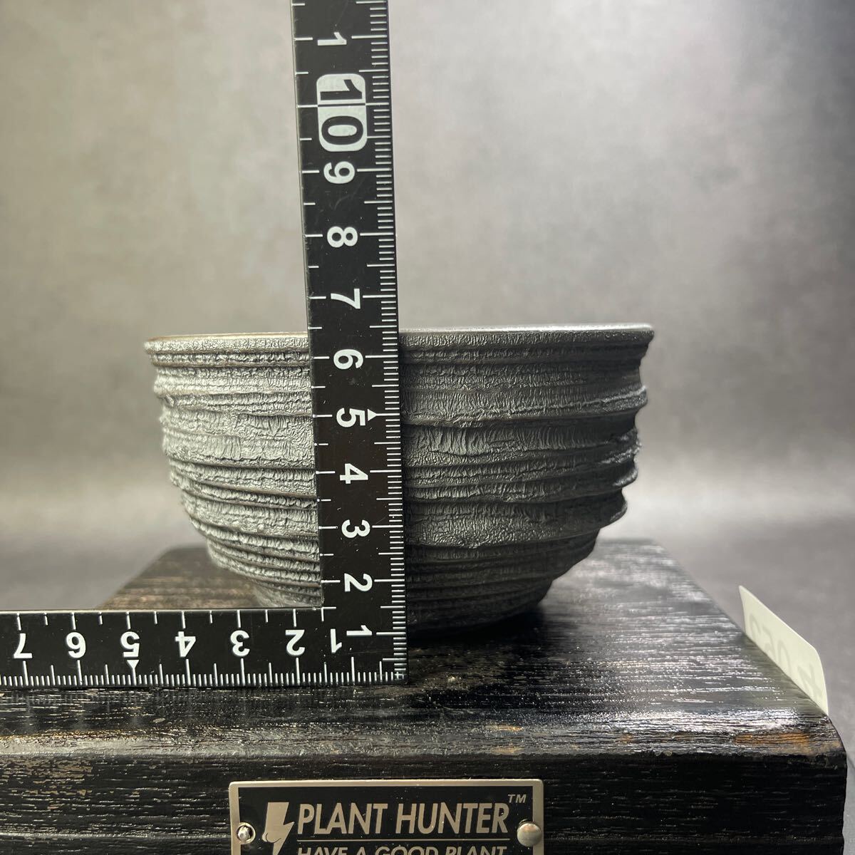 セ052 HAND Made 植木鉢 陶器検(アガベ パキプス 姫巌竜 帝釈天 セ052 HAND Made 植木鉢 陶器検(アガベ パキプス 姫巌竜 帝釈天