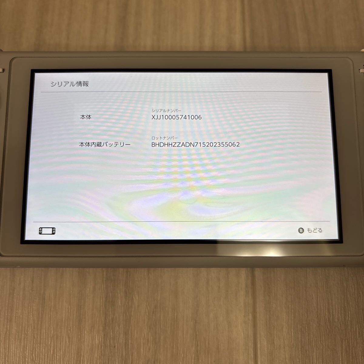 Nintendo Switch Lite ニンテンドースイッチライト ザシアン Nintendo Switch Lite ニンテンドースイッチライト ザシアン