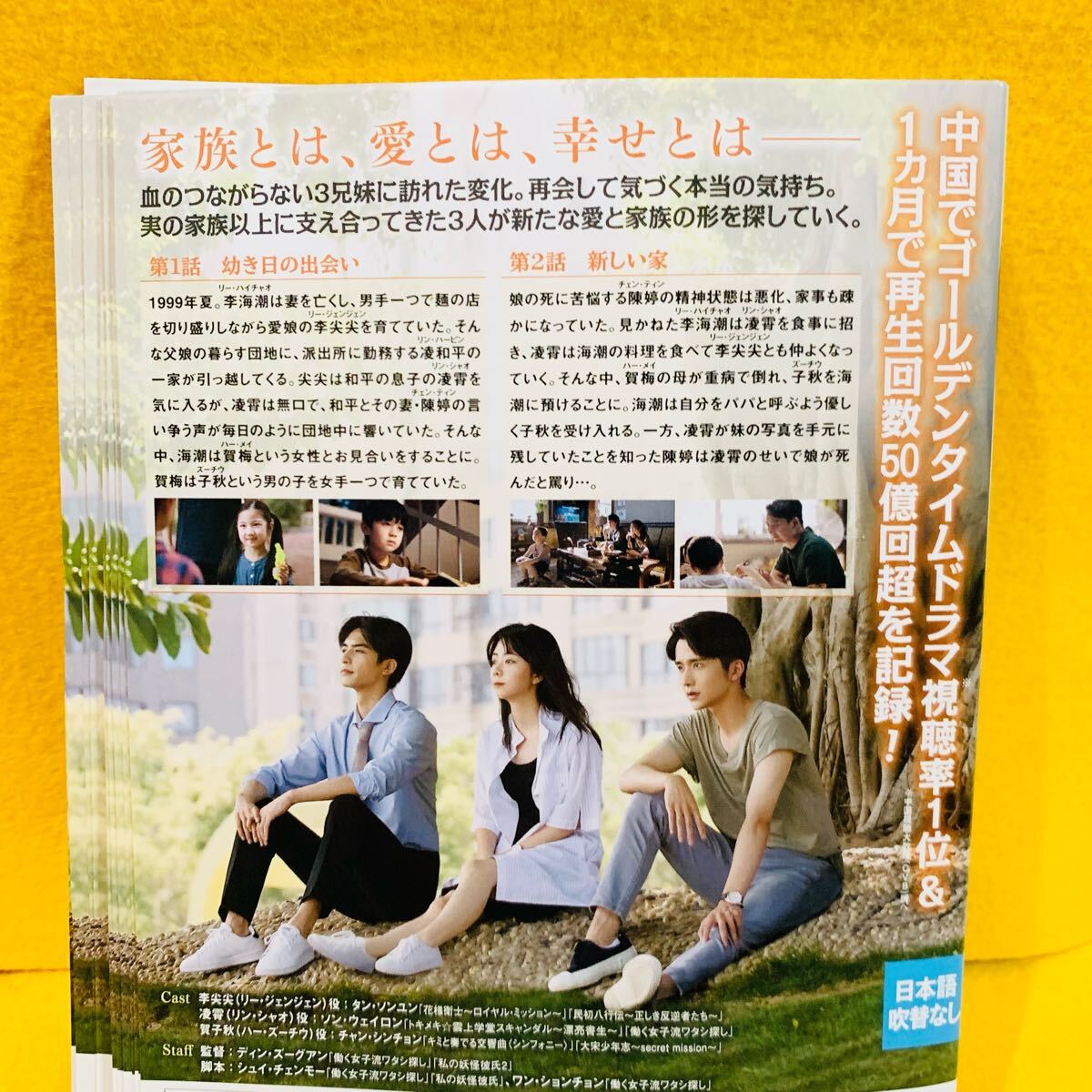 家族の名において DVD 全20巻 全巻セット タン・ソンユン / ソン 家族の名において DVD 全20巻 全巻セット タン・ソンユン / ソン