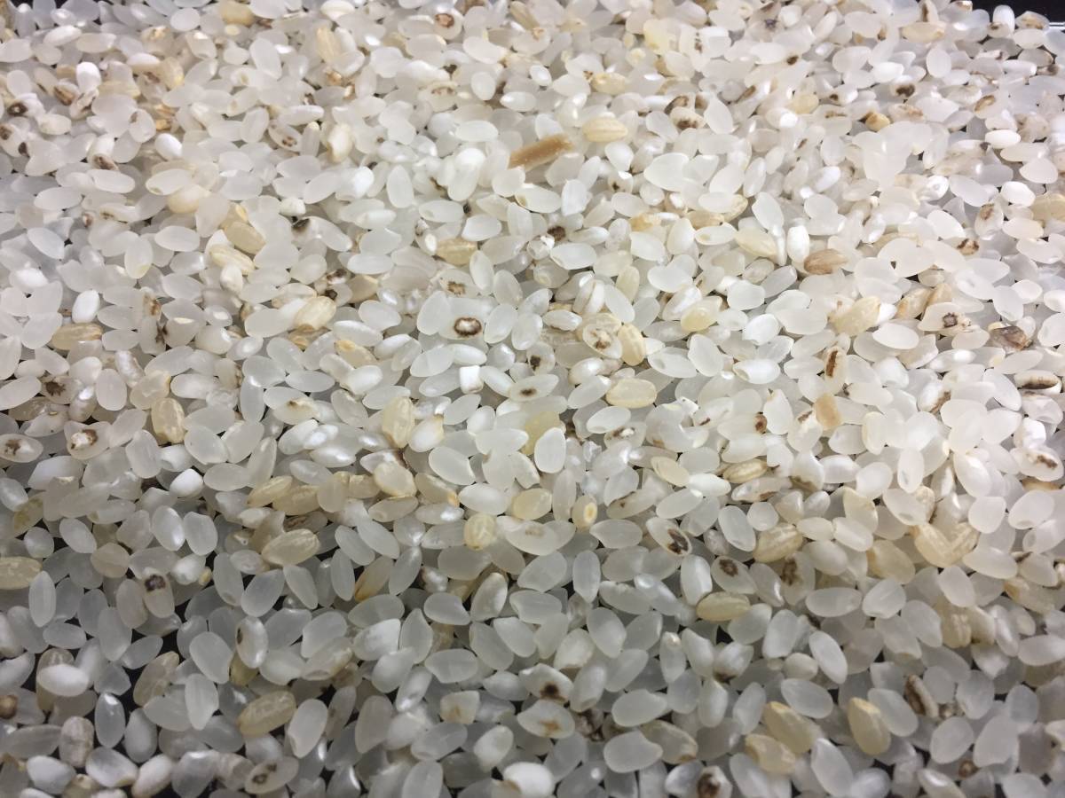くず米 24kg 鳥のエサ・ペットの餌に 送料込(九州・沖縄 くず米 24kg 鳥のエサ・ペットの餌に 送料込(九州・沖縄