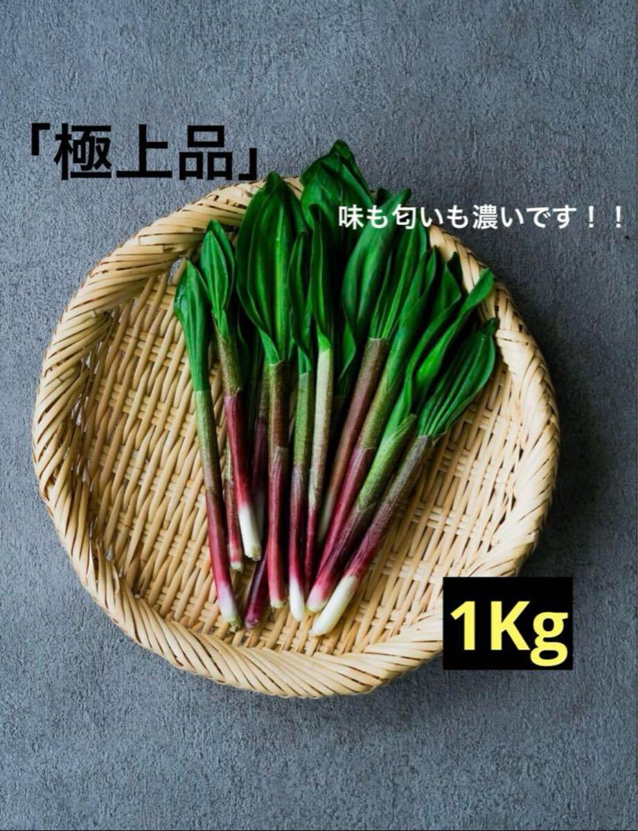 行者ニンニク 北海道産 天然物 アイヌネギ1kg(山菜)|売買 行者ニンニク 北海道産 天然物 アイヌネギ1kg(山菜)|売買