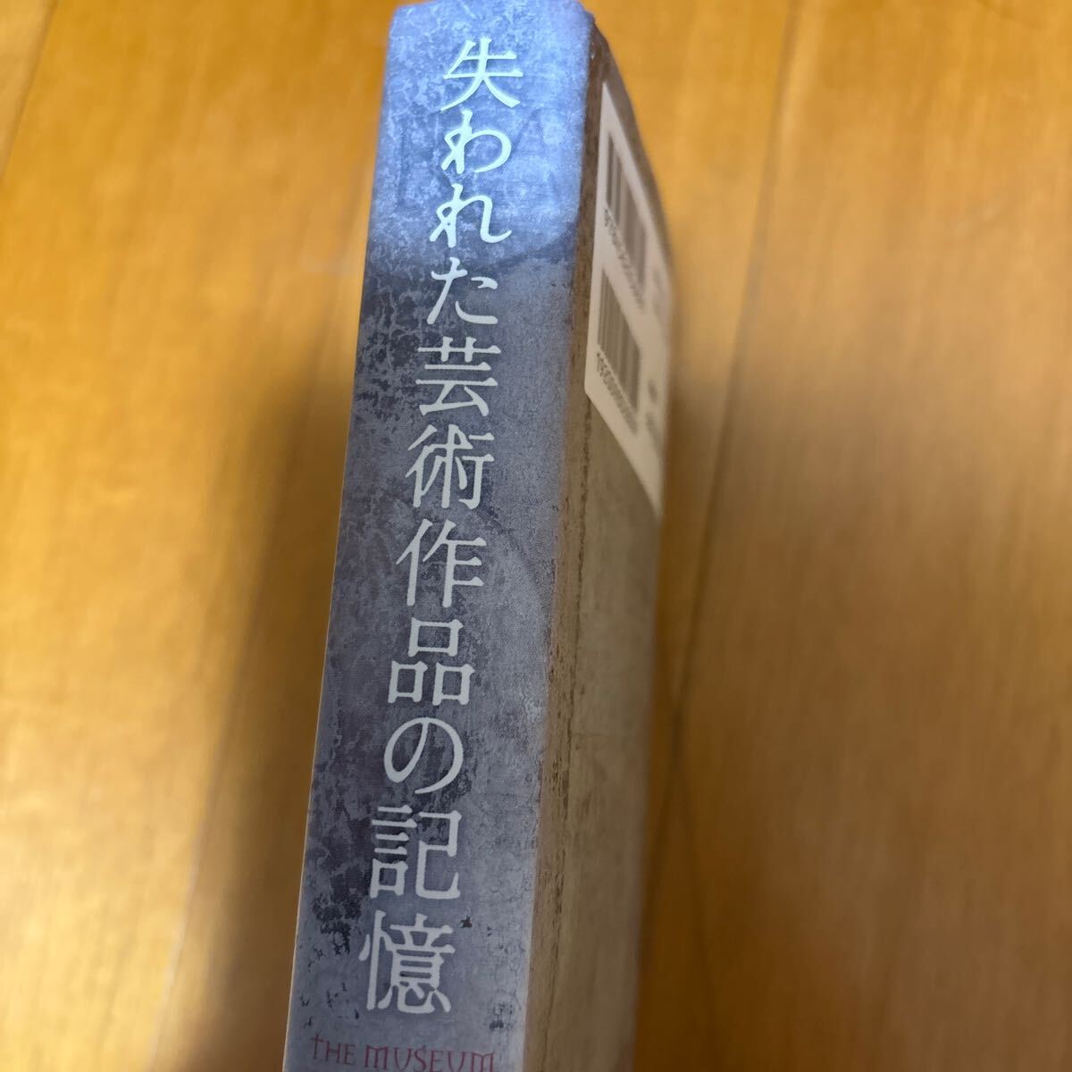 5b-17g60 失われた芸術作品の記憶 9784562056699 ミケランジェロ 5b-17g60 失われた芸術作品の記憶 9784562056699 ミケランジェロ