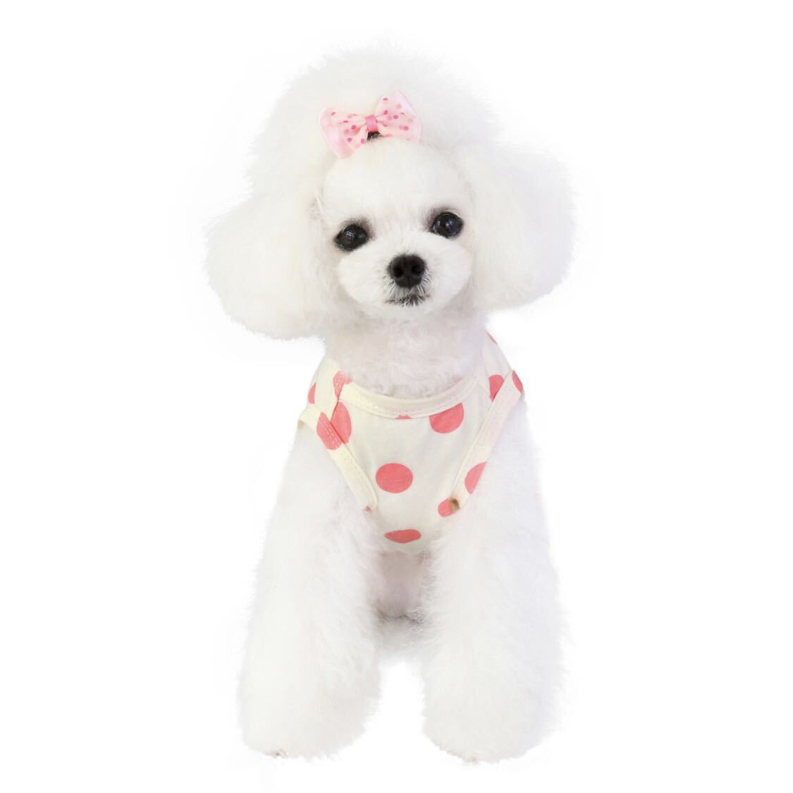 L 水玉 ワンピース (クリーム) 犬服 猫服 犬の服 ペット用品 小型犬 ペット服 スカート ドット フリル_画像4