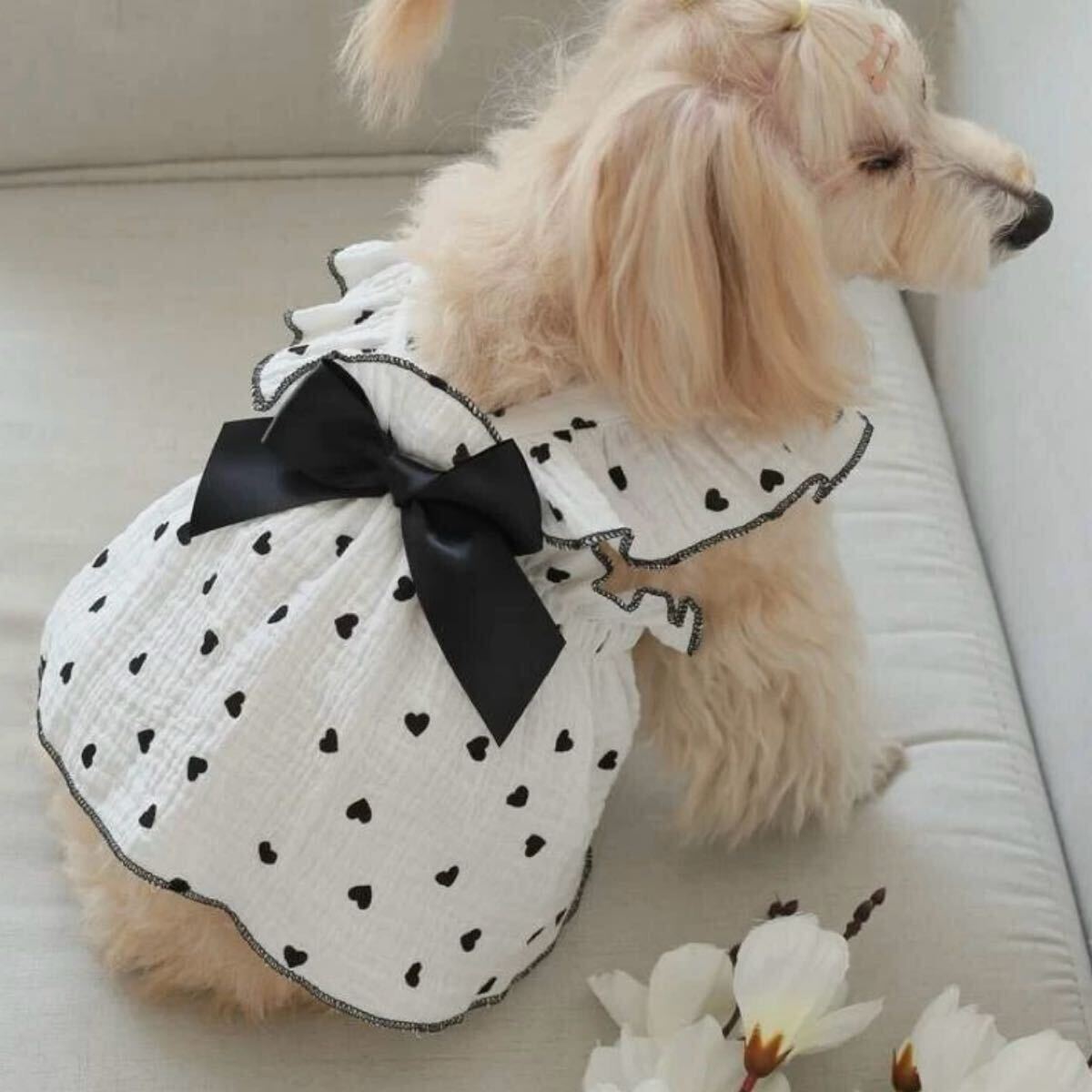 XXL ブラックハート リボン ワンピース 犬服 猫服 犬の服 ペット服 ペット用品 ドッグウェア スカート_画像2