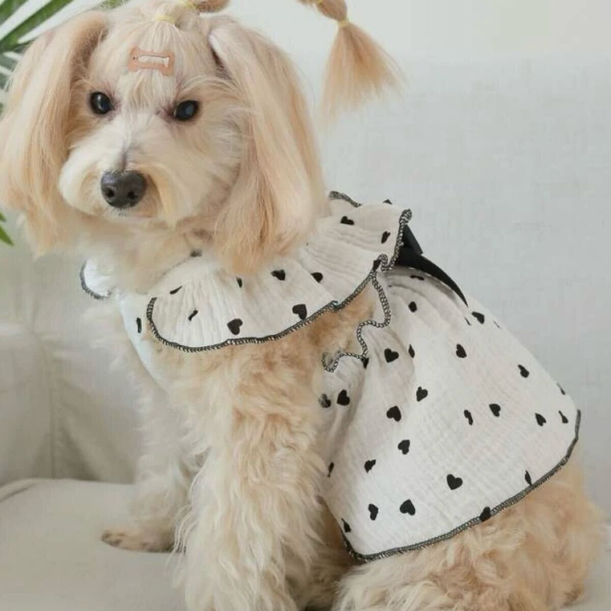 XXL ブラックハート リボン ワンピース 犬服 猫服 犬の服 ペット服 ペット用品 ドッグウェア スカート_画像3