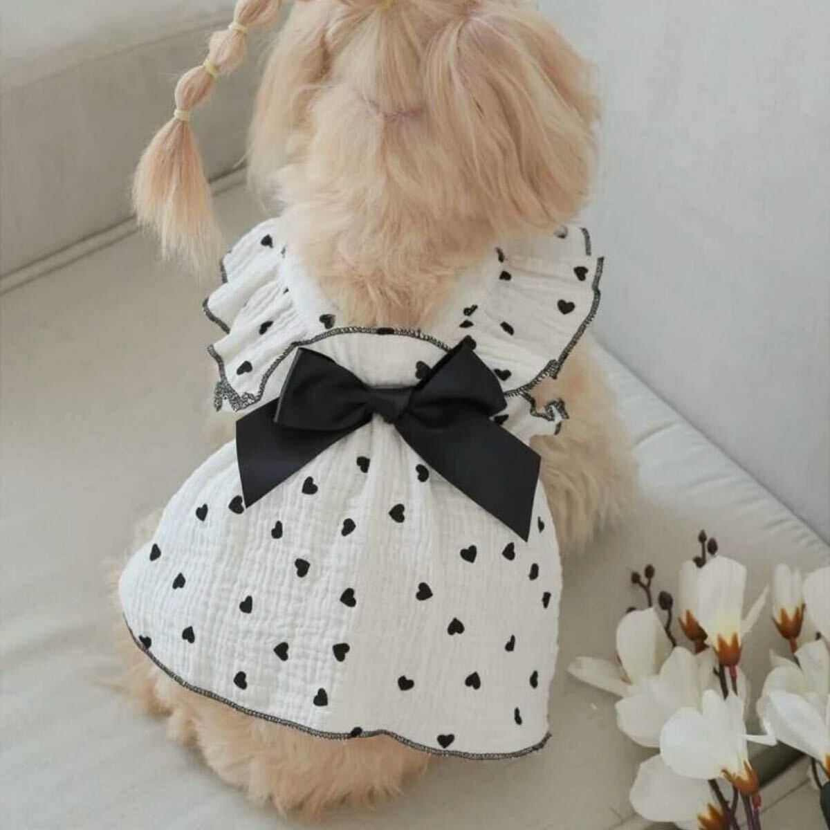 XXL ブラックハート リボン ワンピース 犬服 猫服 犬の服 ペット服 ペット用品 ドッグウェア スカート_画像8