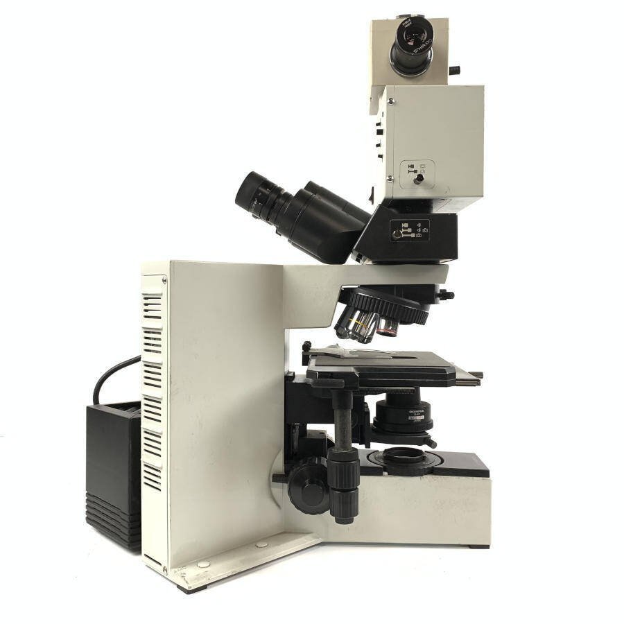 OLYMPUS オリンパス BX50F4 顕微鏡 接眼レンズ:WH10x/22 対物 OLYMPUS オリンパス BX50F4 顕微鏡 接眼レンズ:WH10x/22 対物