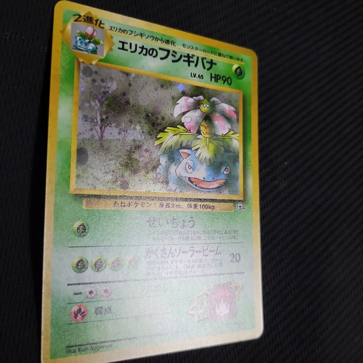 ポケカ 美品 旧裏面 エリカのフシギバナ ポケモンカードゲーム ポケカ 美品 旧裏面 エリカのフシギバナ ポケモンカードゲーム